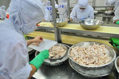 海產(chǎn)品加工企業(yè)如何選擇污水處理站？三大關(guān)鍵影響因素解析